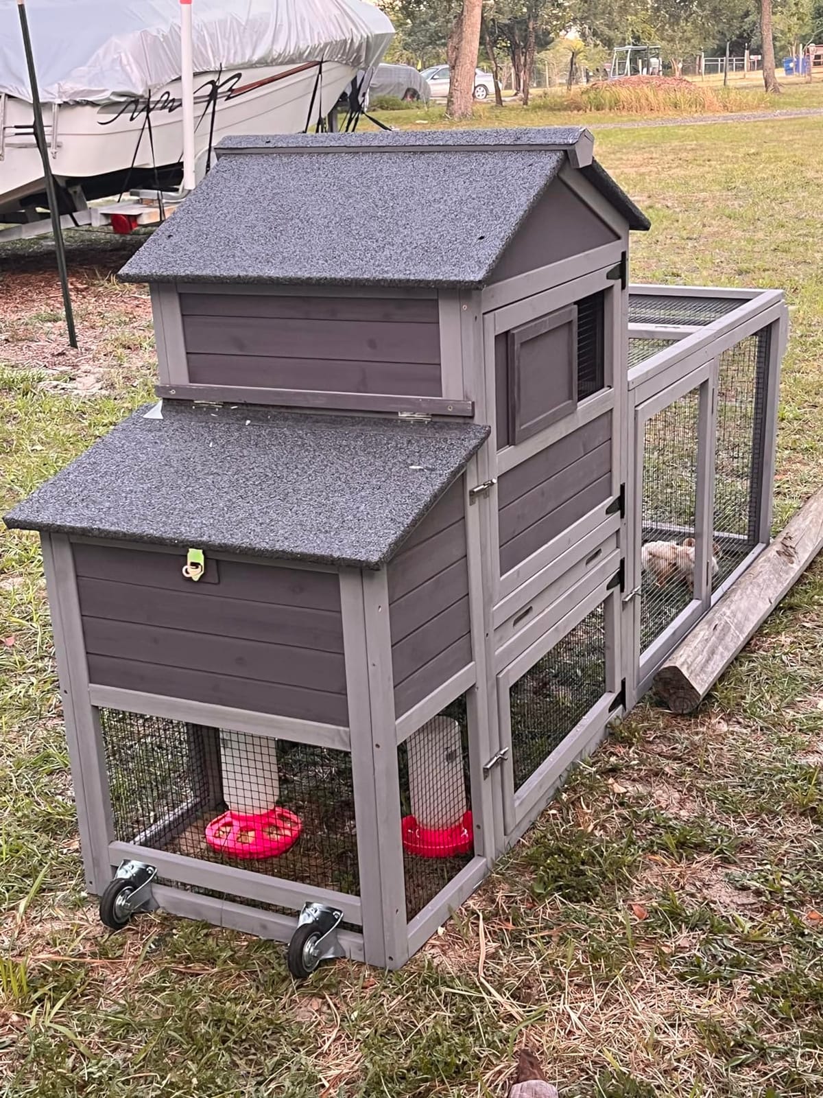 Chicken Coop for 2-4 Chickens, Mobile Chicken House for Outdoor with Wheels, Nesting Box, Leakproof Pull-on Tray and UV-Resistant Roof Panel, Wooden Chicken Coop for Duck customer photo 2