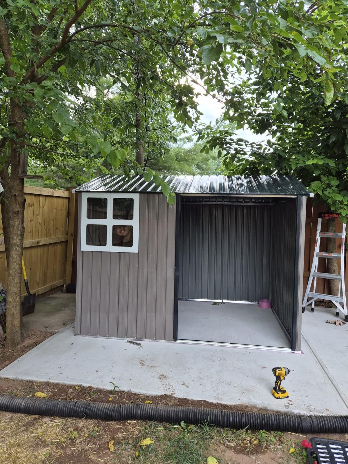 IRONCK 10x8.2FT Outdoor Storage Shed with Clear Window, Tool Shed, Brown customer photo 1