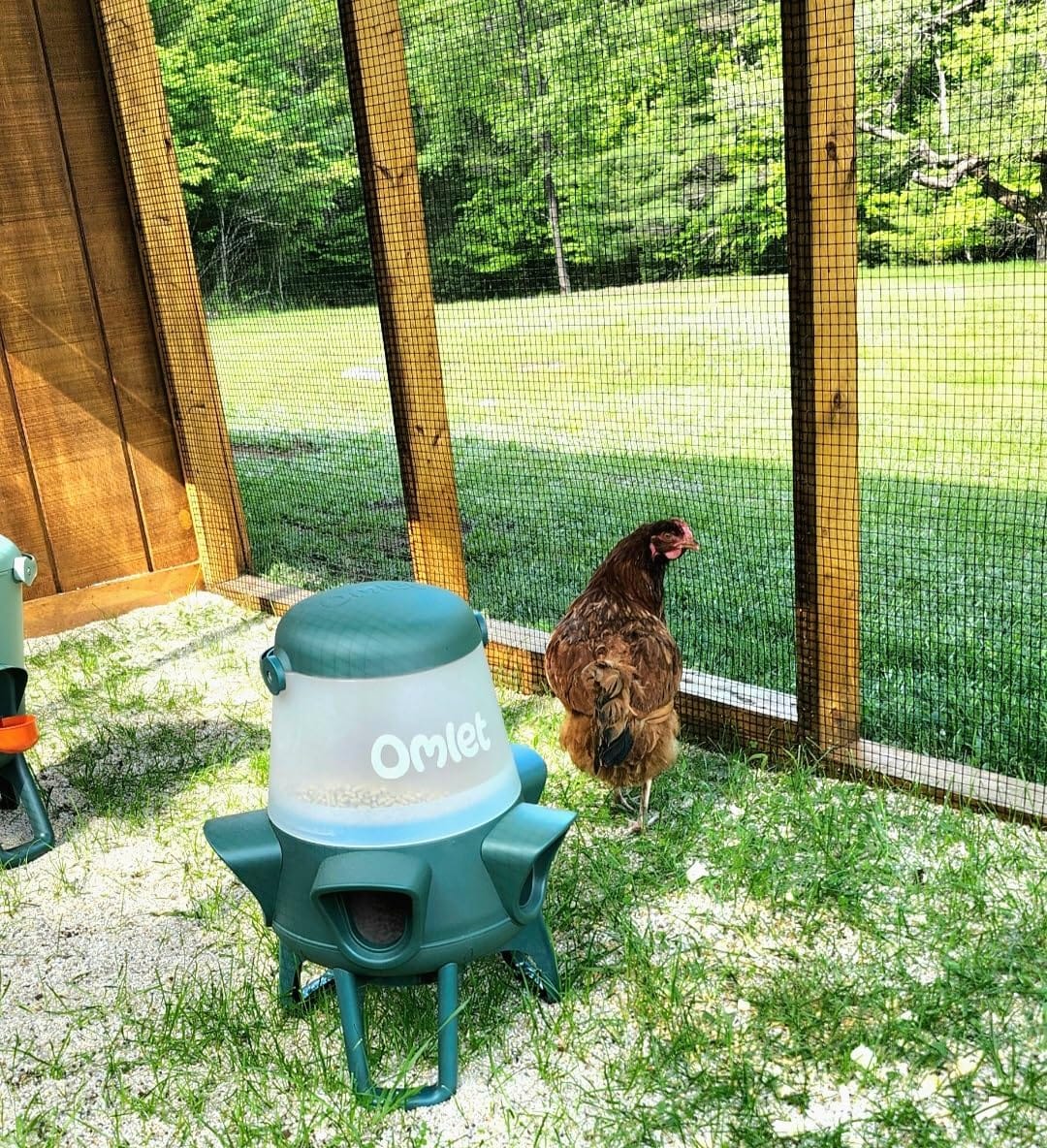 Omlet No Waste Chicken Feeder for Coop | Anti-Spill Poultry Feeder with 3 Feeding Ports | Hanging or Free Standing | Weatherproof | 6lb customer photo 1