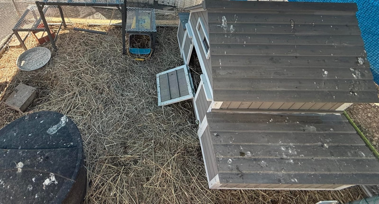 Large Chicken Coop with Wheels, Outdoor Hen House Tractor for 3-6 Chickens customer photo 2
