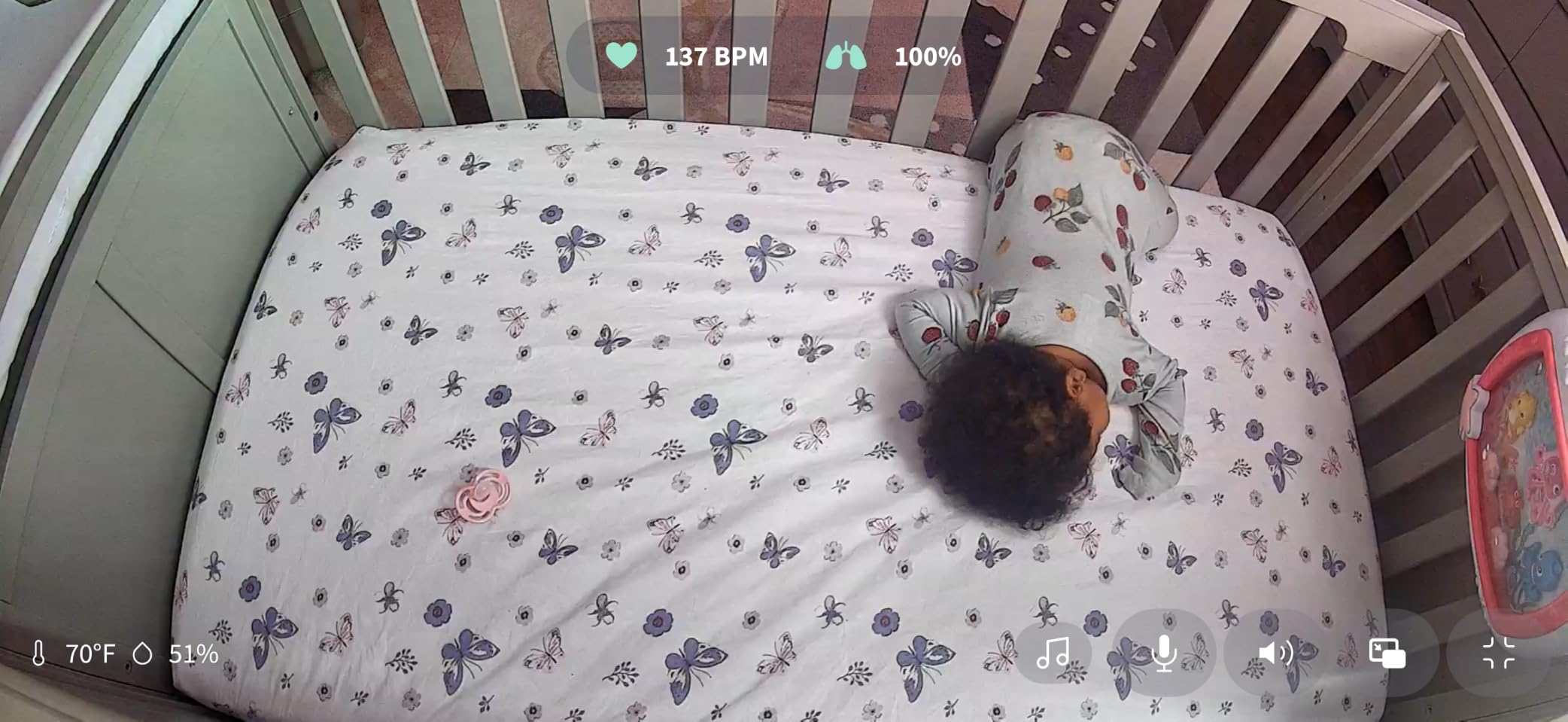Owlet Dream Sock Smart Baby Monitor, Includes 3 Months of Owlet 360 customer photo 1